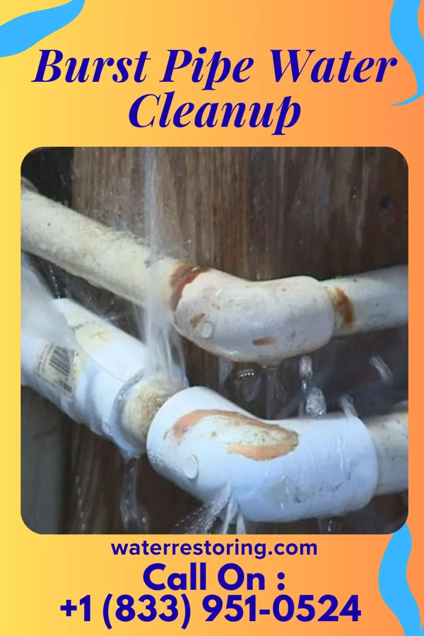 Burst Pipe Water Cleanup in Mechanicsville, CT