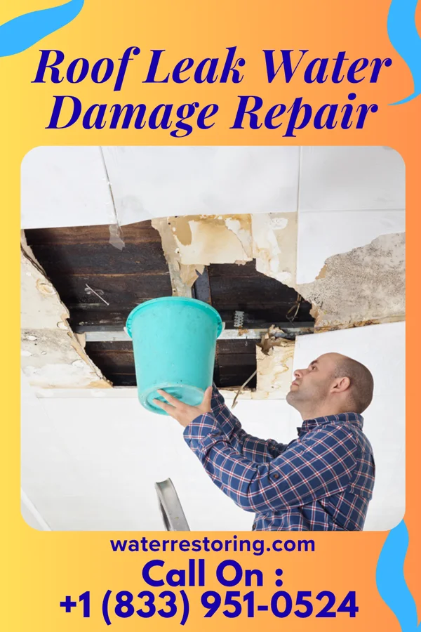 Roof Leak Water Damage Repair in Mechanicsville, CT