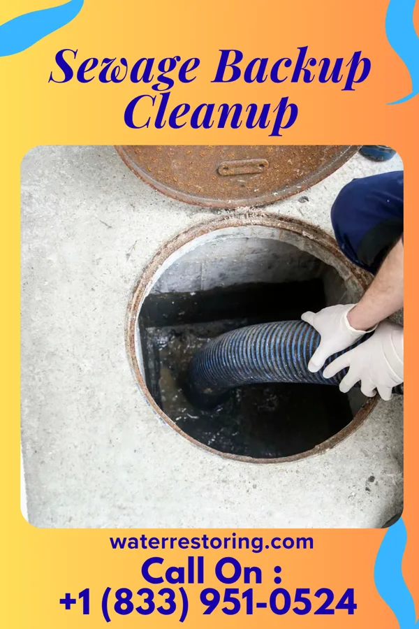 Sewage Backup Cleanup in Mechanicsville, CT