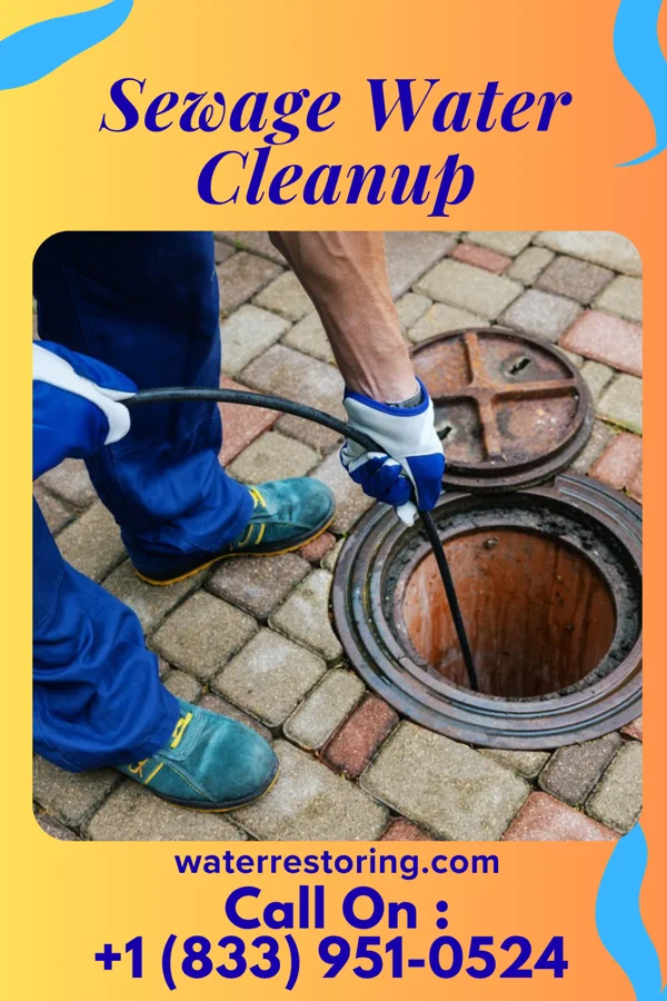 Sewage Water Cleanup in Mechanicsville, CT